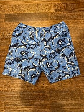 Polo Boys Swim trunks- size 18/20